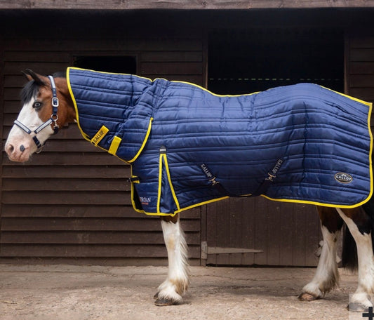 TROJAN 200G Combo stable rug